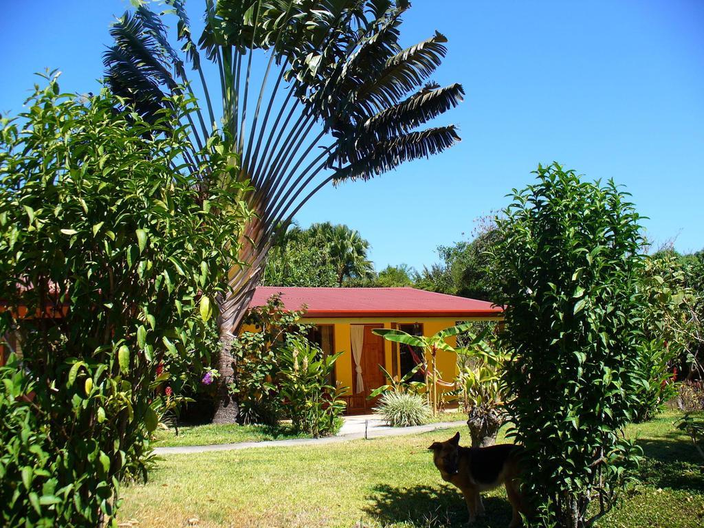 El Paraiso Verde B&B Atenas Habitación foto